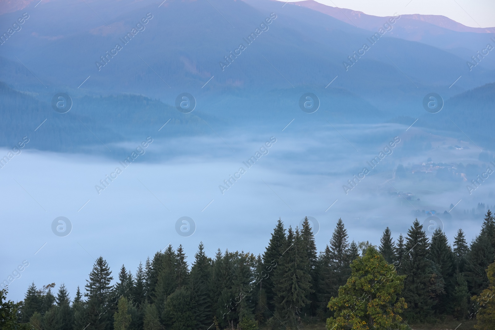 Photo of Beautiful view of foggy mountains covered with forest