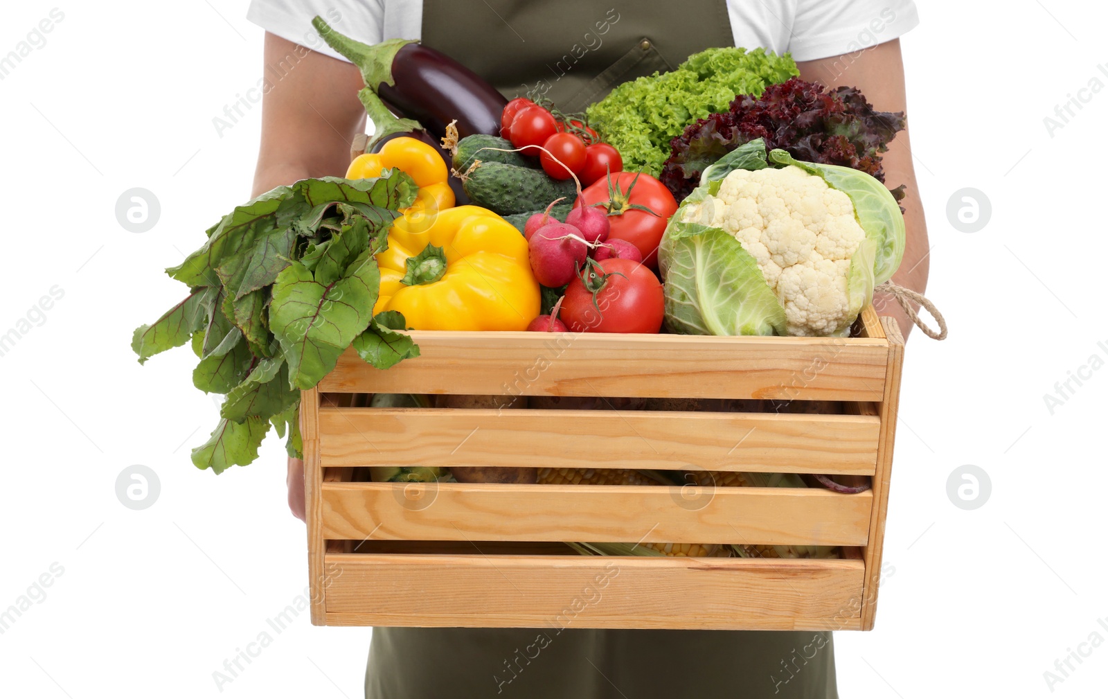 Photo of Harvesting season. Farmer holding wooden crate with vegetables on white background, closeup