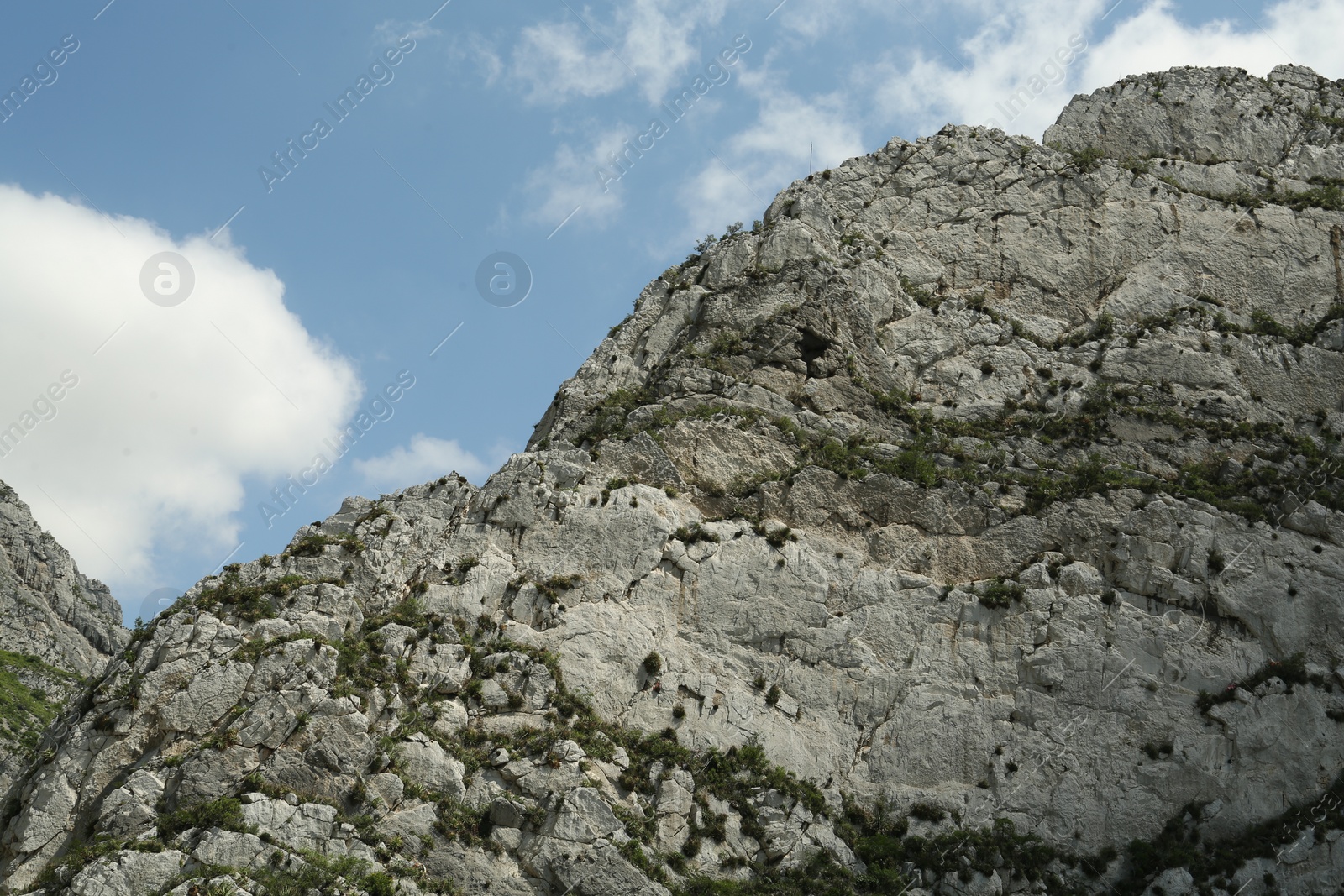 Photo of Picturesque view of mountains and bushes under cloudy sky