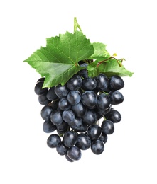 Bunch of fresh ripe juicy dark blue grapes with leaves isolated on white