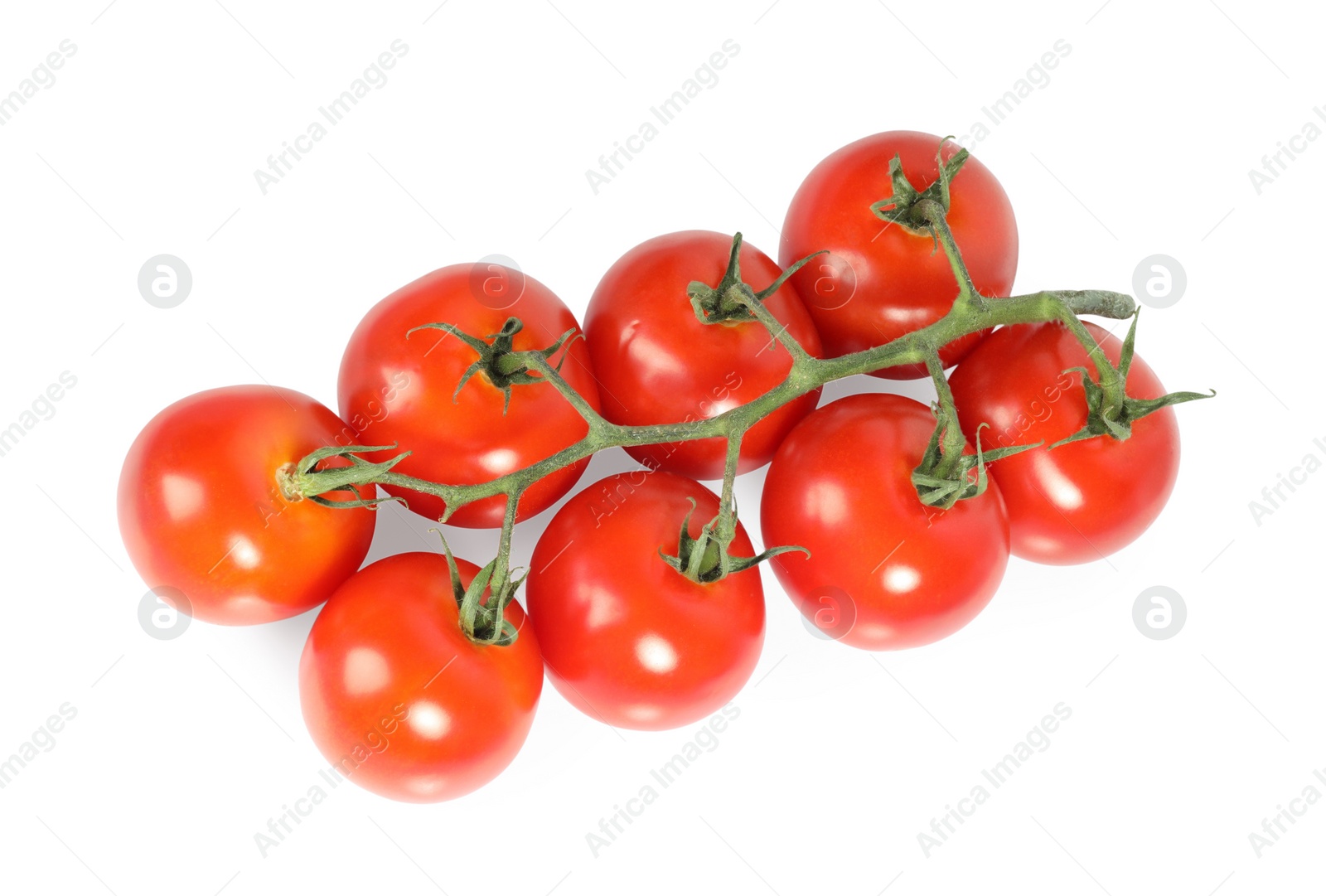 Photo of Branch with ripe cherry tomatoes isolated on white, top view