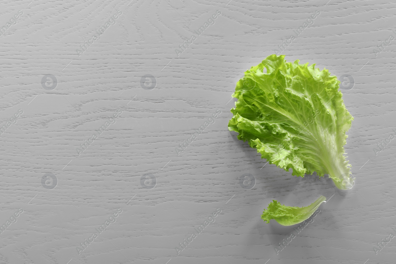Photo of Food photography. Leaves of fresh lettuce on white wooden table, top view with space for text