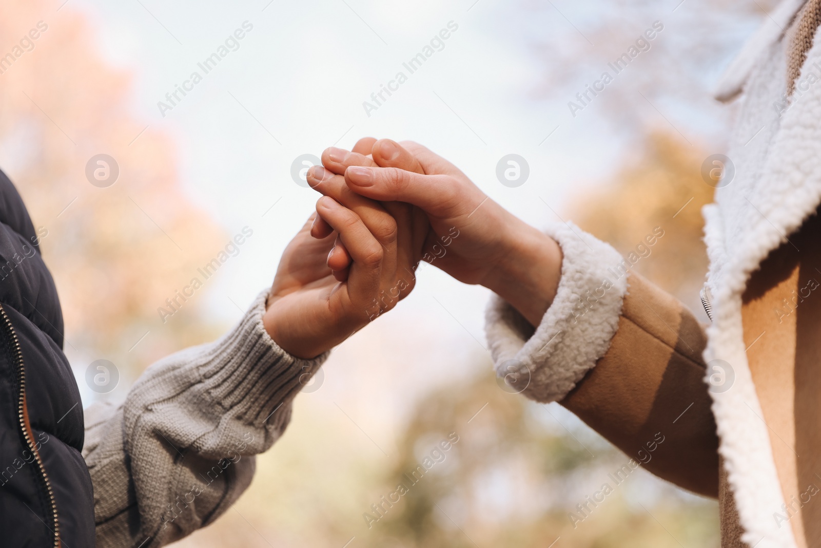Photo of Happy young couple holding hands together outdoors, closeup. Dating agency