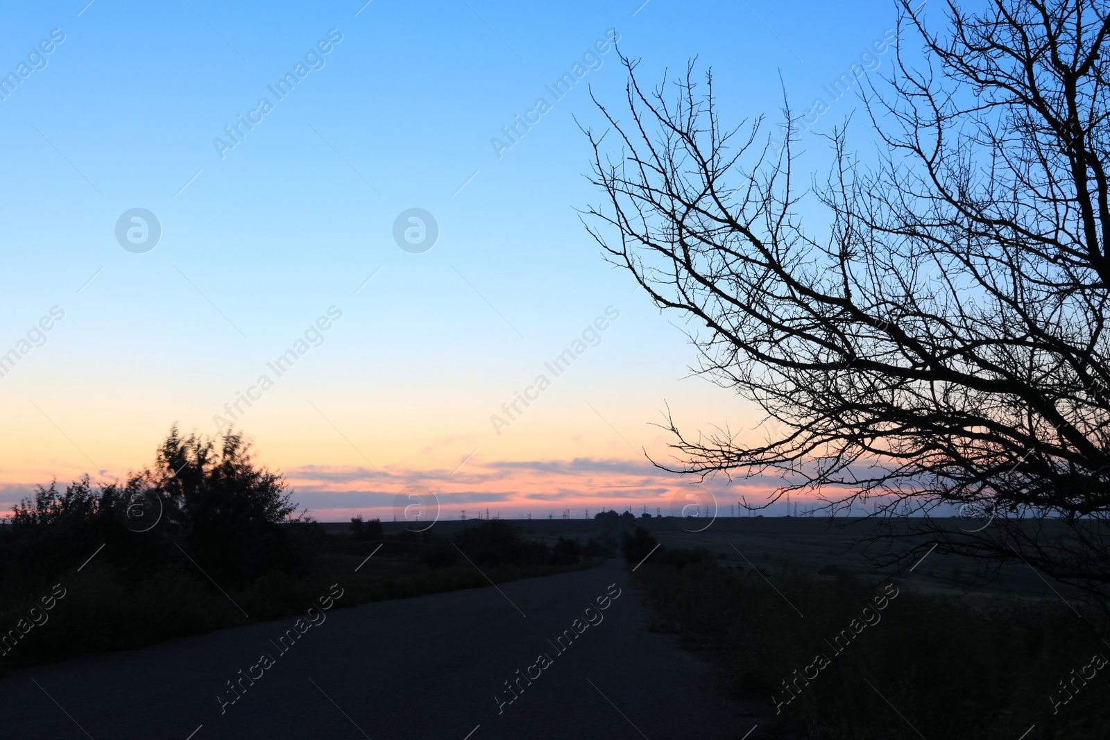 Photo of Picturesque landscape with asphalt road at sunrise