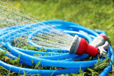 Photo of Water spraying from hose on green grass outdoors, closeup