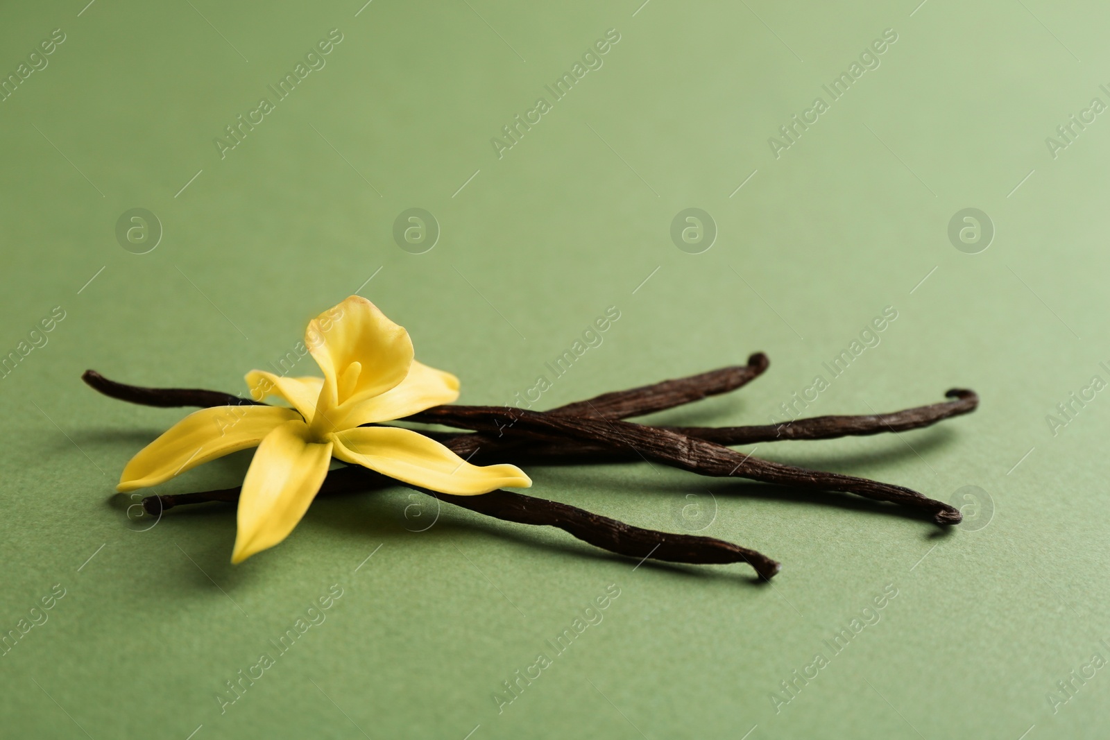 Photo of Vanilla sticks and flower on green background. Space for text