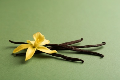 Photo of Vanilla sticks and flower on green background. Space for text