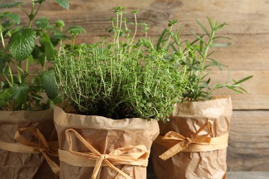 Different aromatic potted herbs against wooden background, closeup