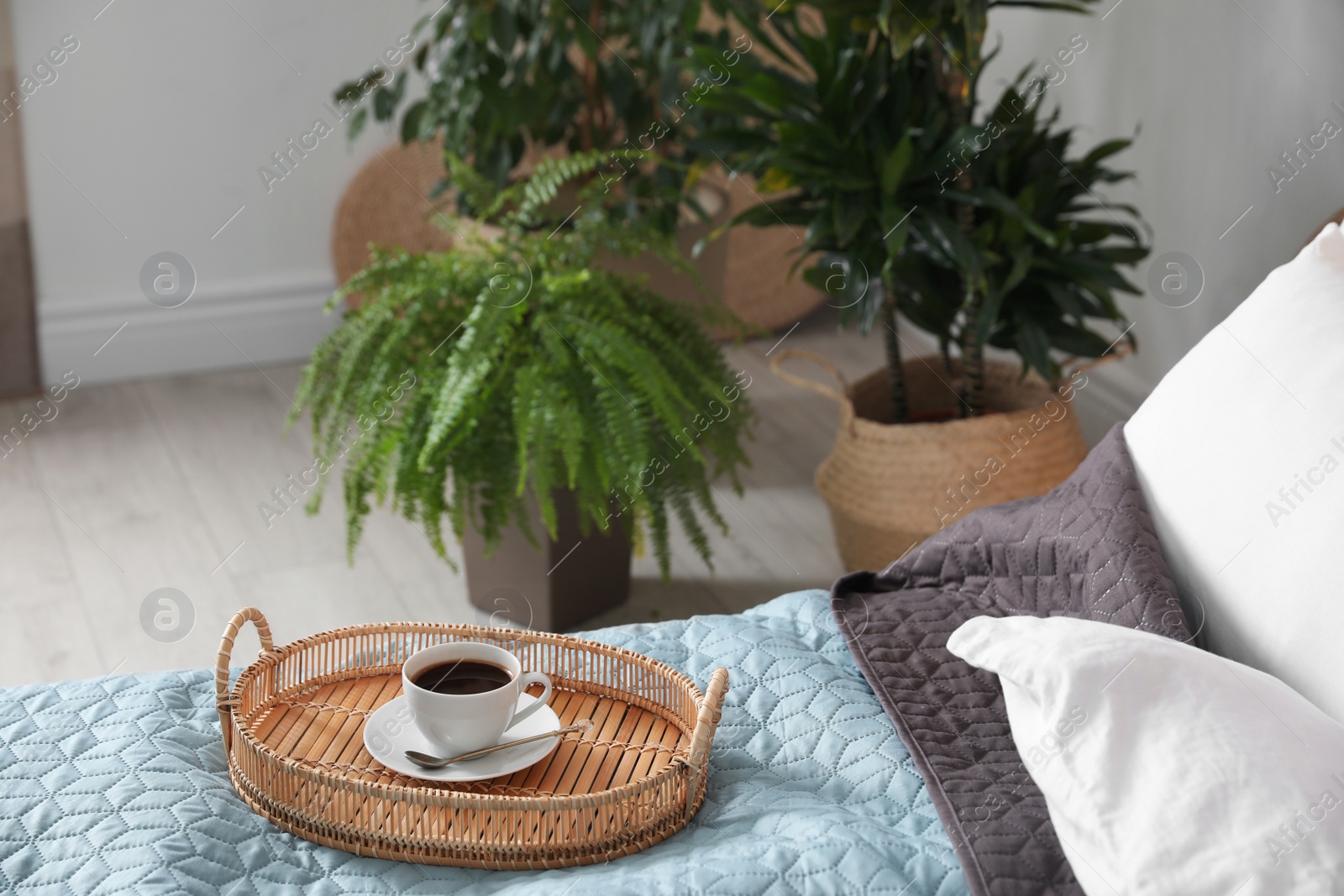 Photo of Cup of coffee on bed in room decorated with green plants. Home design ideas