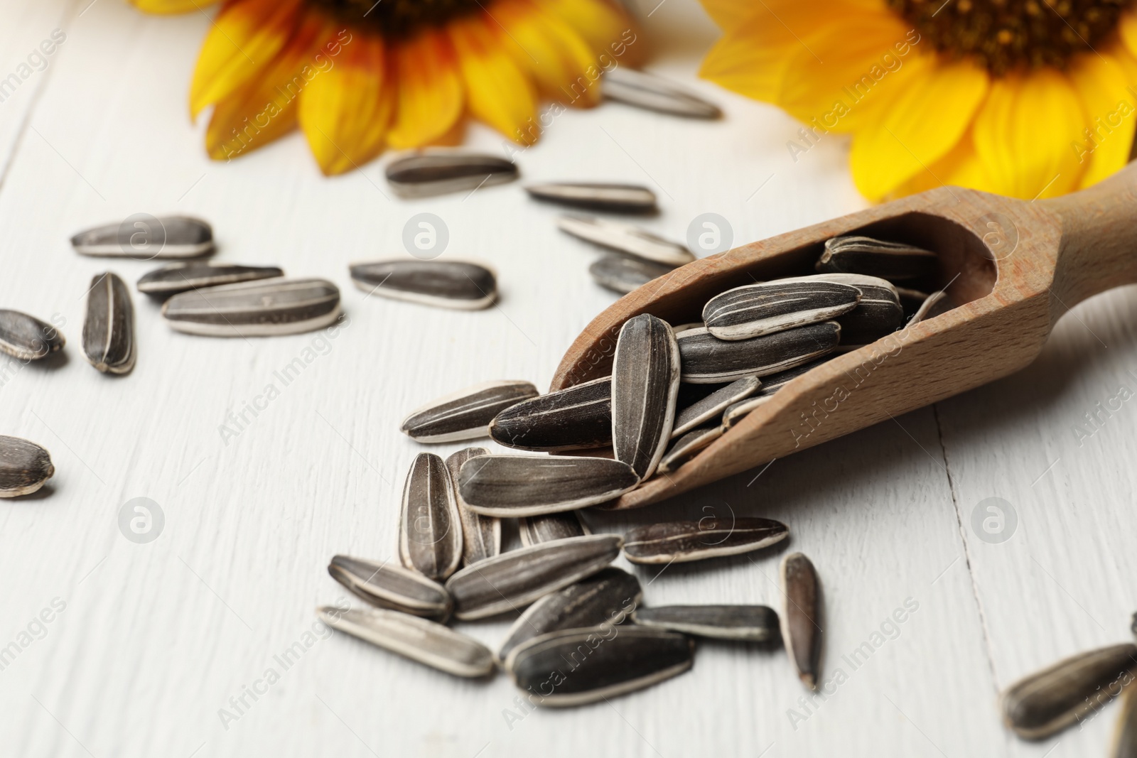 Photo of Raw sunflower seeds and scoop on white wooden table, closeup
