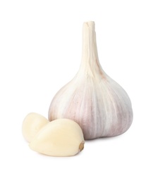 Fresh organic garlic bulb and cloves on white background
