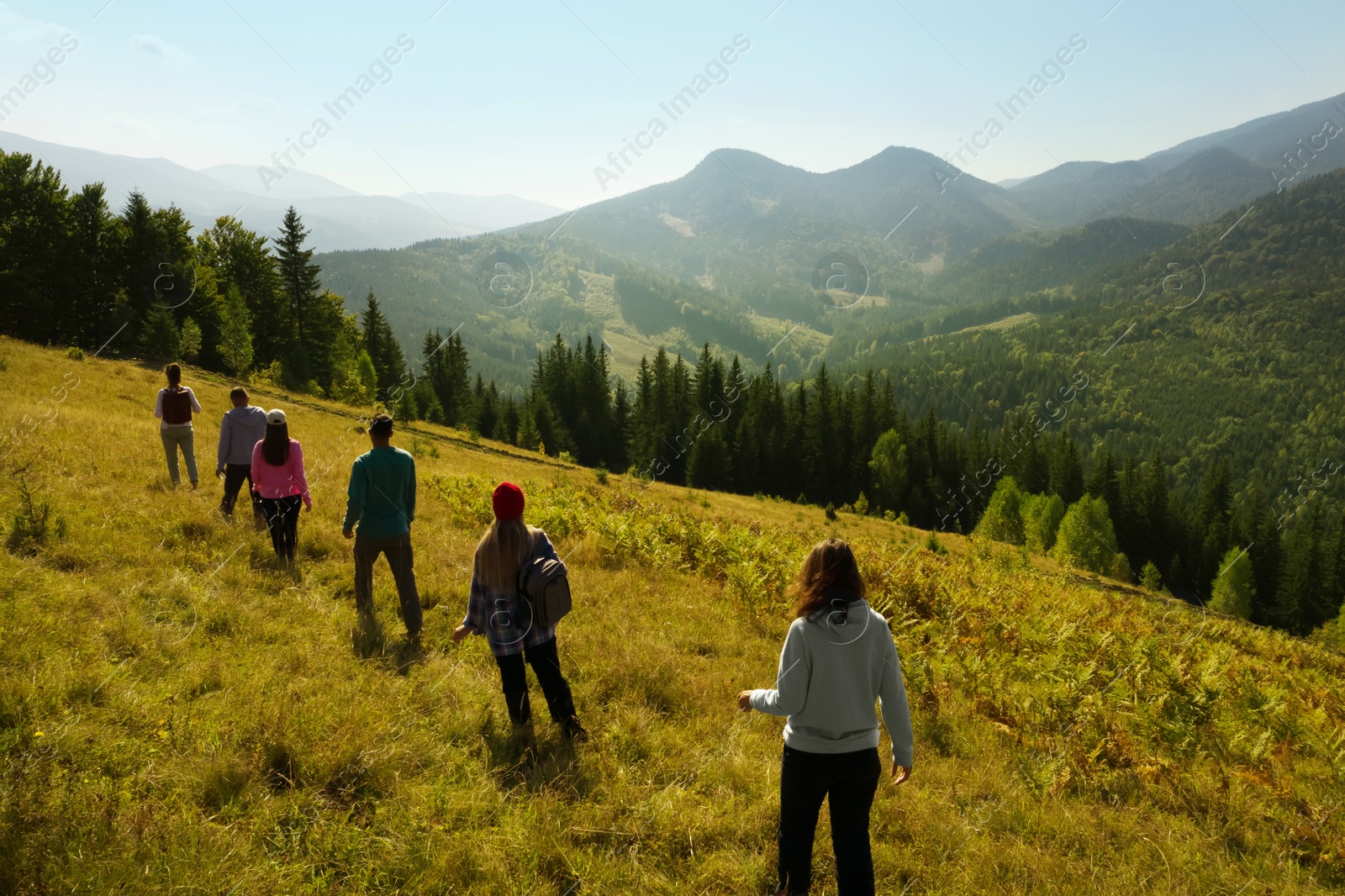 Image of Group of tourists walking on hill in mountains, back view. Drone photography