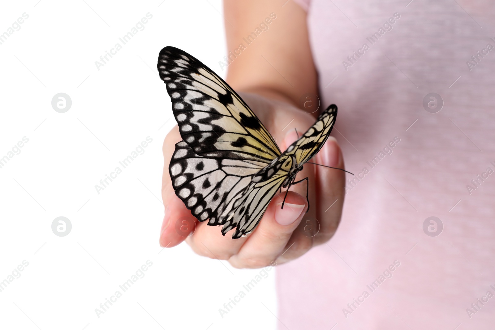 Photo of Woman holding beautiful rice paper butterfly on white background, closeup