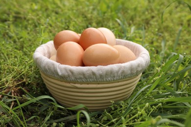 Fresh chicken eggs in basket on green grass outdoors