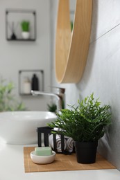 Potted artificial plant, rolled towels and soap near sink on bathroom vanity