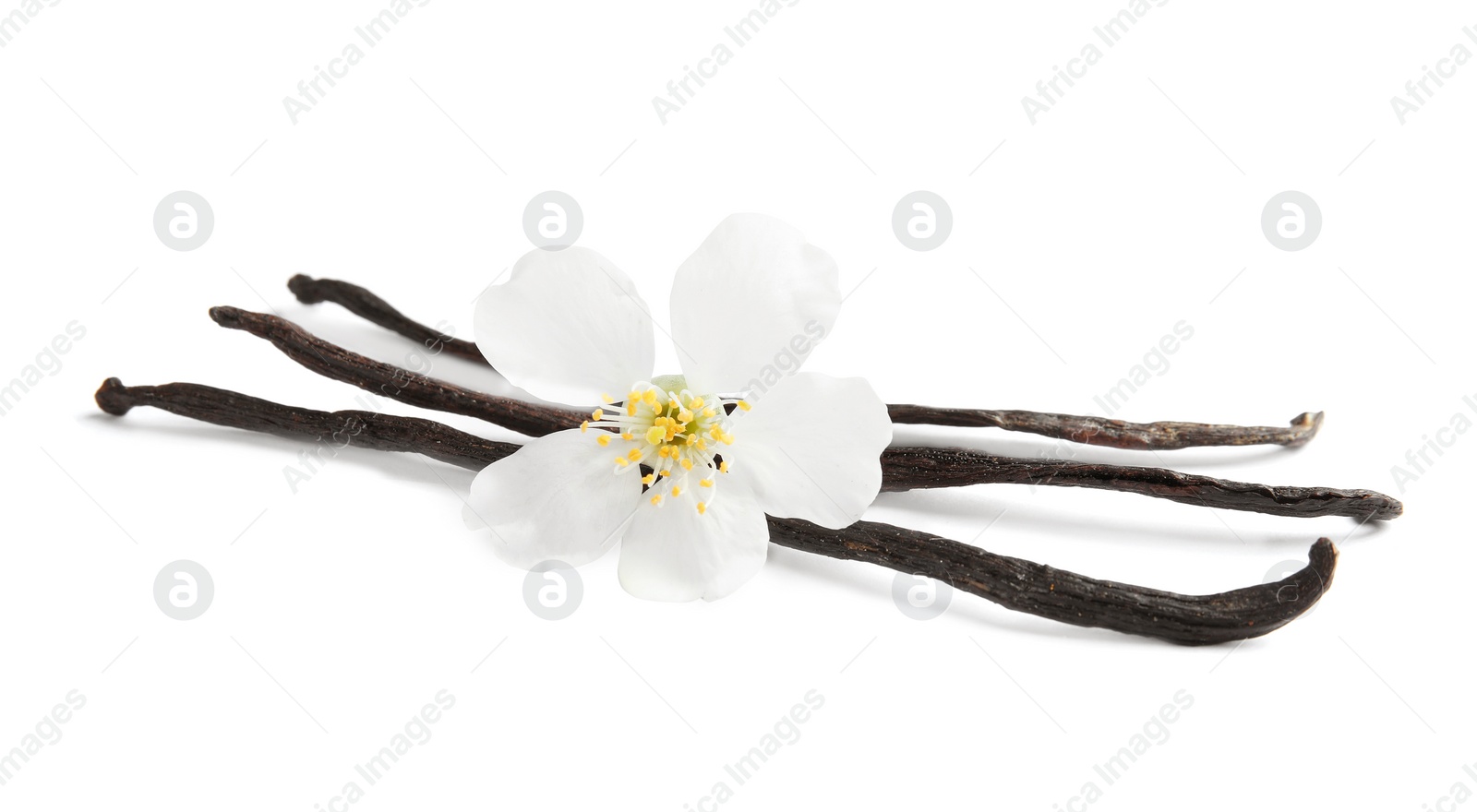 Photo of Aromatic vanilla sticks and flower on white background