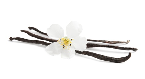 Aromatic vanilla sticks and flower on white background