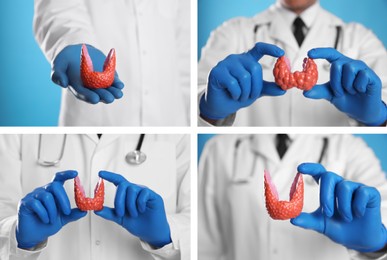 Image of Doctor holding plastic model of thyroid on light blue background, closeup. Collage with photos 