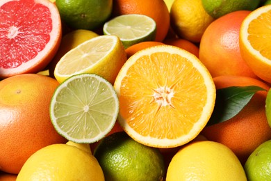 Photo of Different fresh citrus fruits as background, closeup