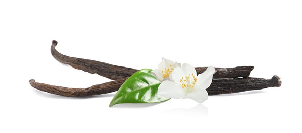 Dried aromatic vanilla sticks, beautiful flowers and green leaves on white background. Banner design