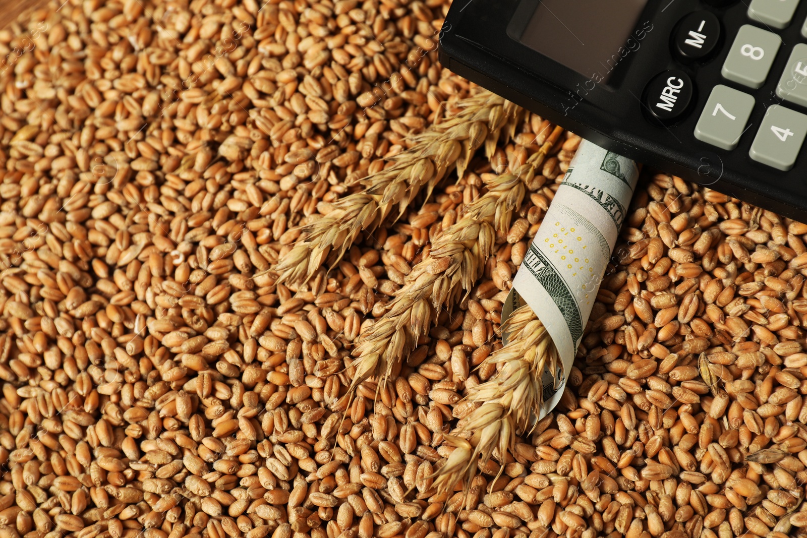 Photo of Dollar banknote, calculator and wheat ears on grains, closeup. Agricultural business