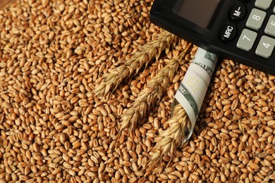 Dollar banknote, calculator and wheat ears on grains, closeup. Agricultural business