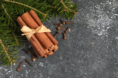 Different spices. Aromatic cinnamon sticks, clove seeds and fir branches on dark gray textured table, flat lay. Space for text