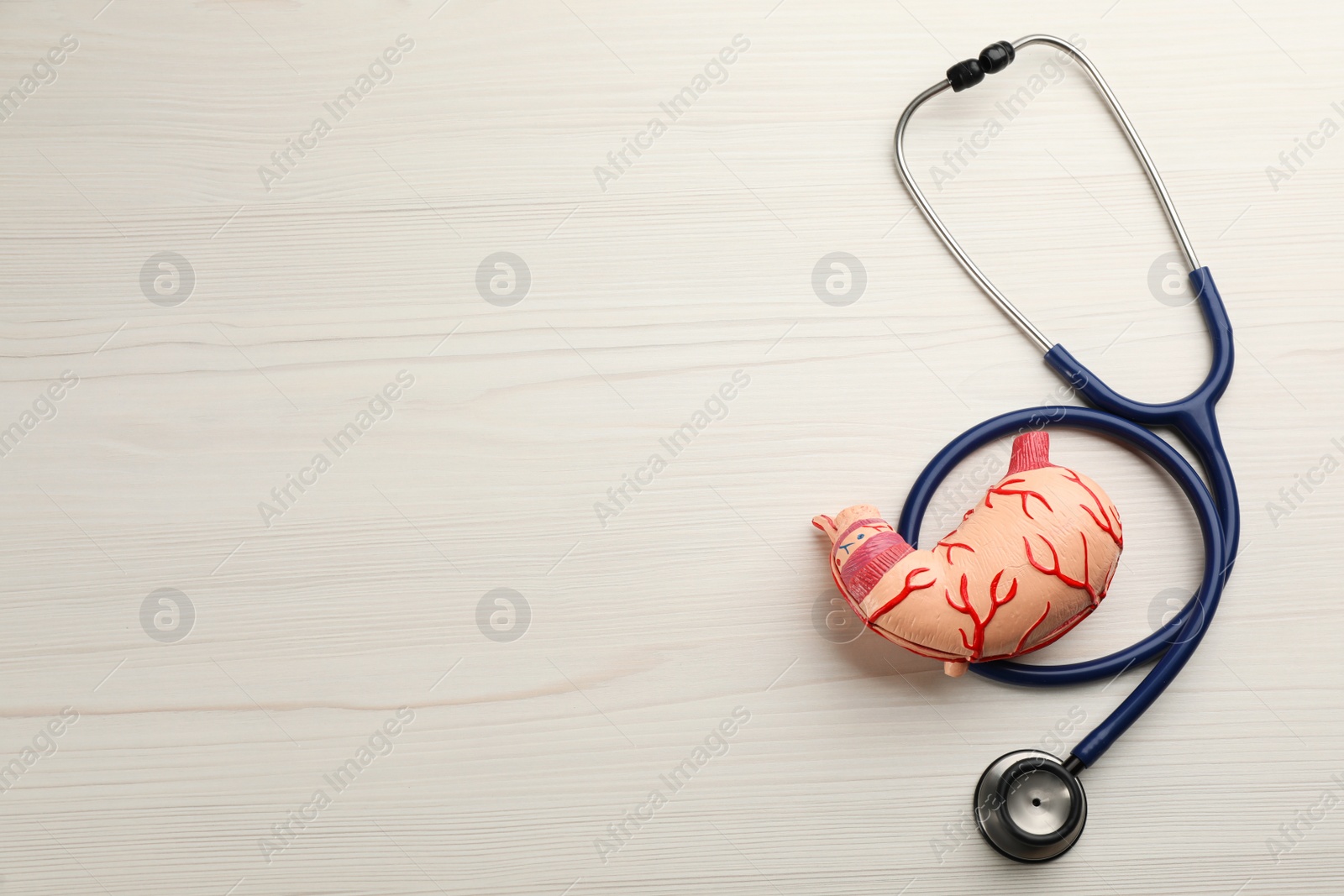 Photo of Human stomach model and stethoscope on white wooden table, flat lay. Space for text