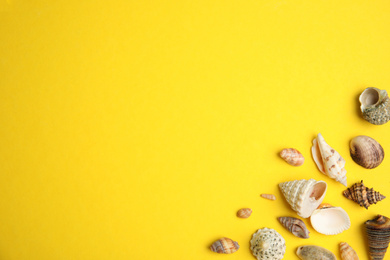 Photo of Different beautiful sea shells on yellow background, flat lay. Space for text