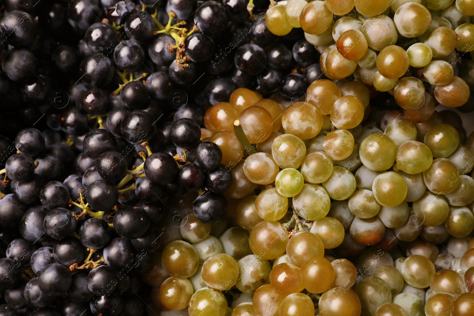 Photo of Fresh ripe juicy grapes as background, closeup