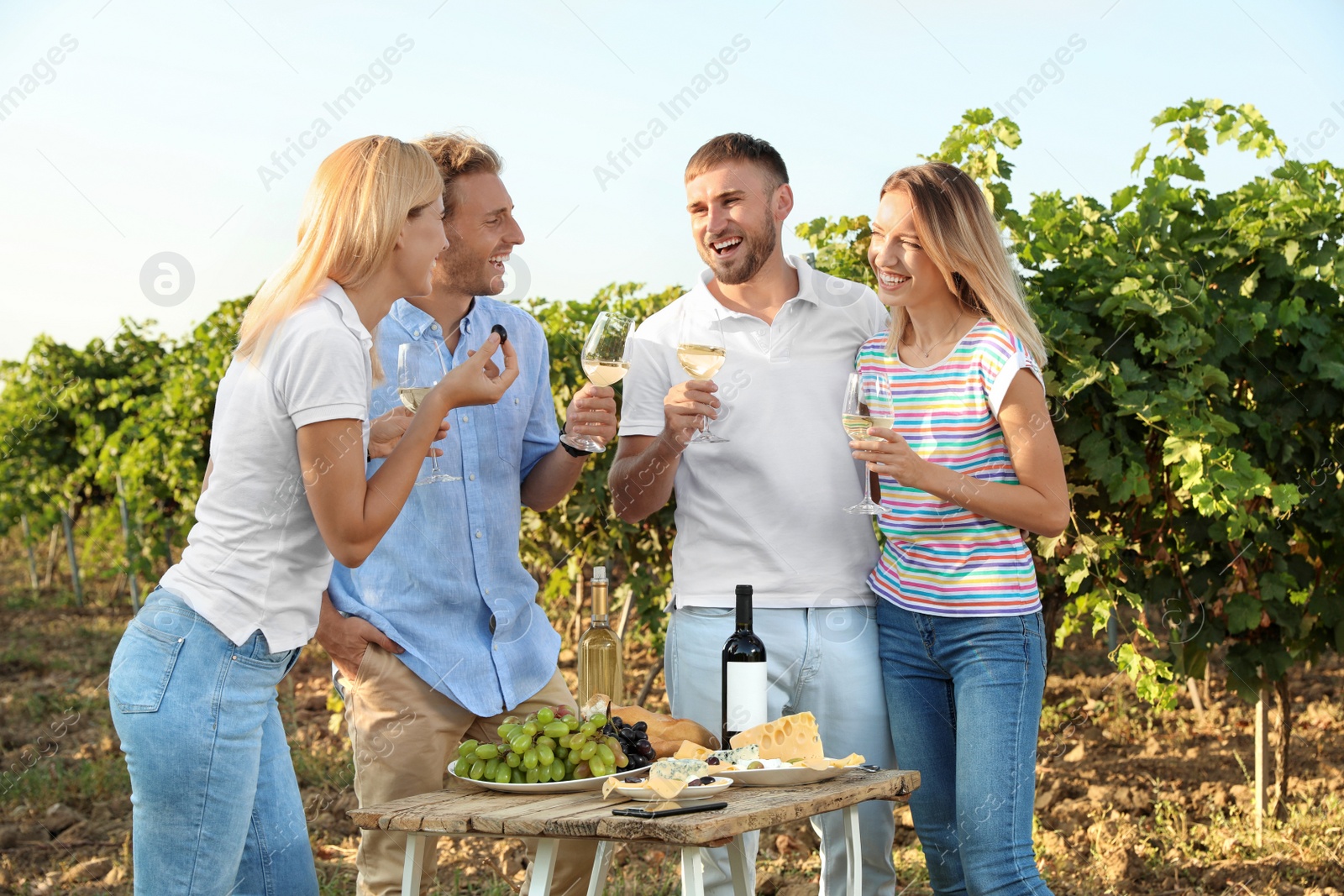 Photo of Friends holding glasses of wine and having fun on vineyard picnic