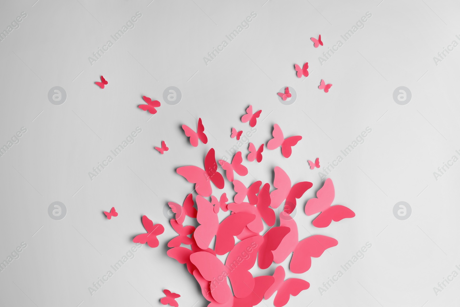 Image of Bright red paper butterflies on white wall
