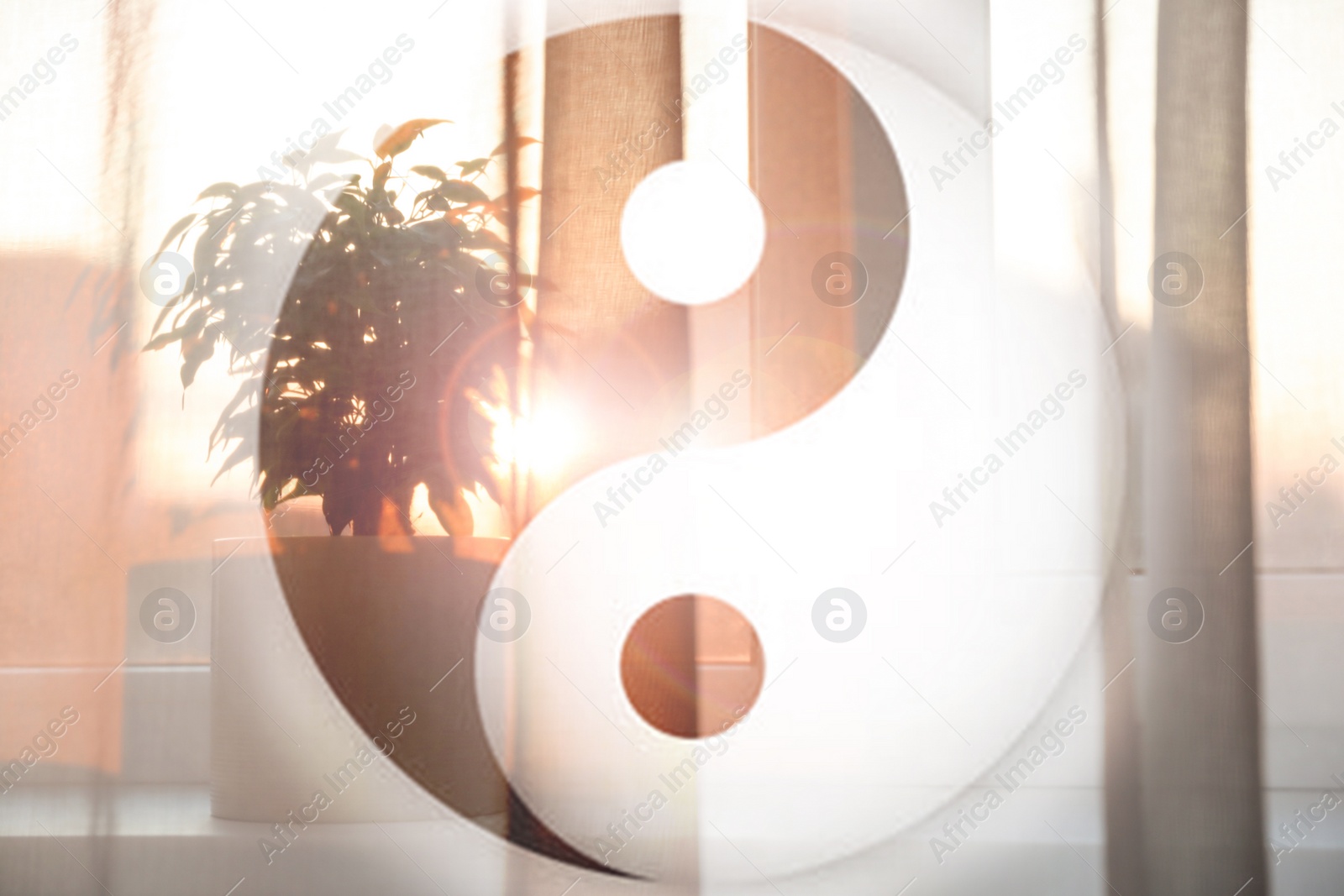 Image of Plant on window sill behind curtain at home and  and Yin Yang symbol. Feng Shui philosophy 