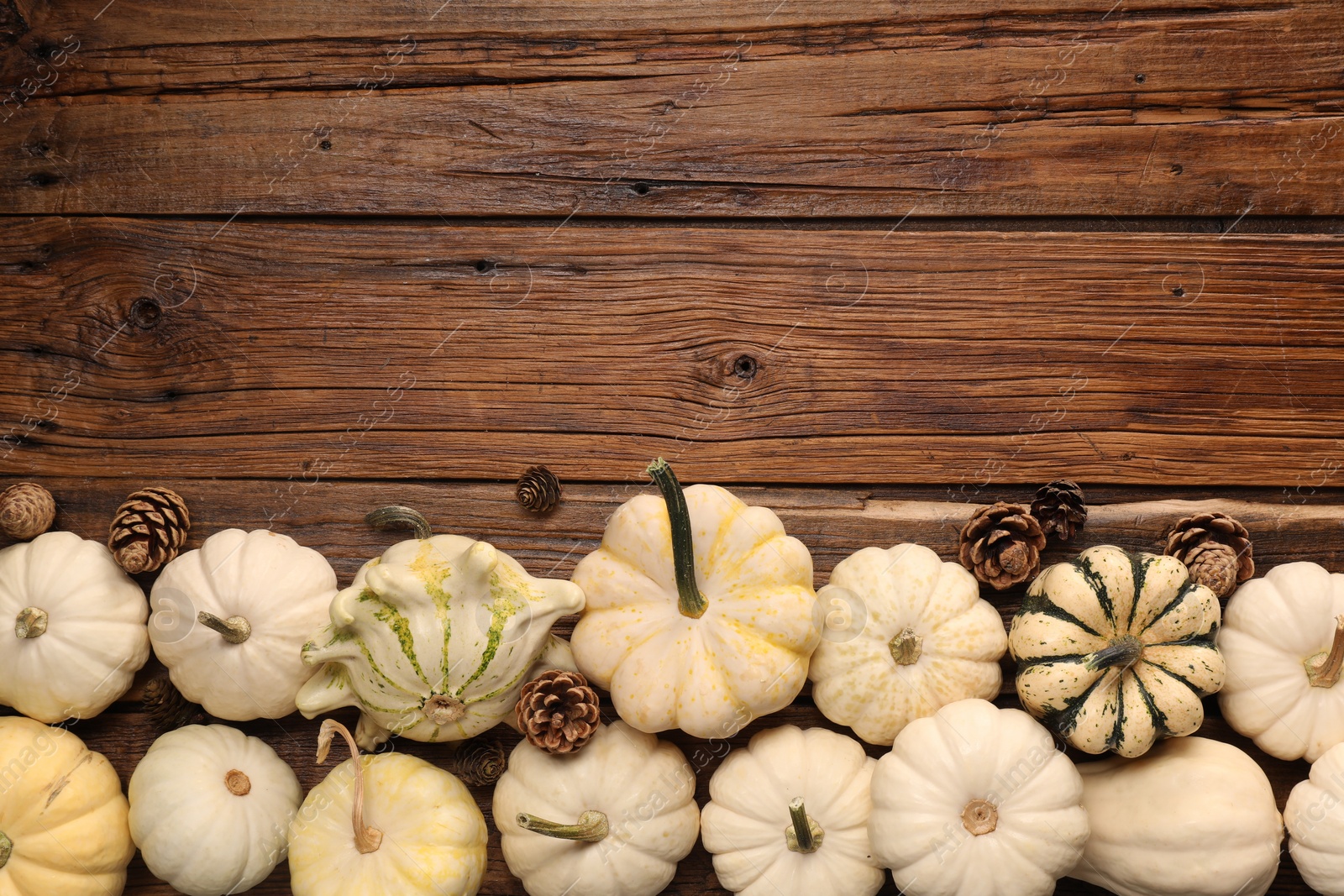 Photo of Flat lay composition with different fresh ripe pumpkins on wooden table. Space for text