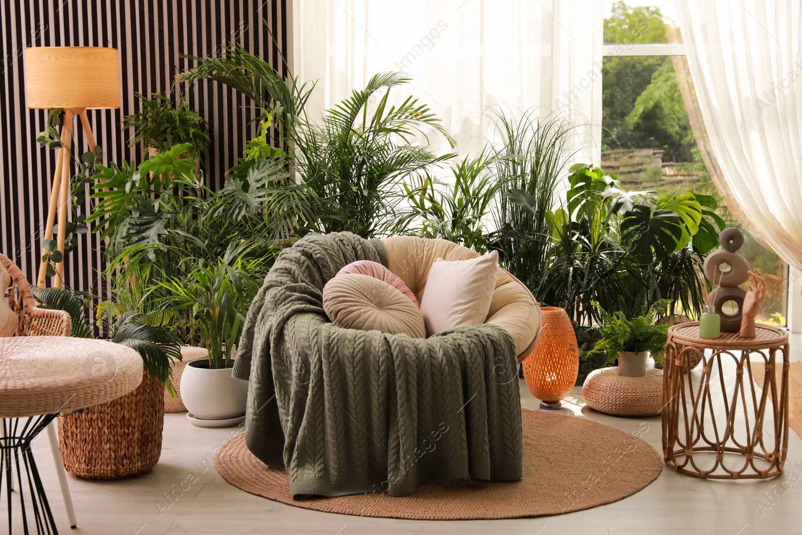 Photo of Indoor terrace interior with soft papasan chair and green plants