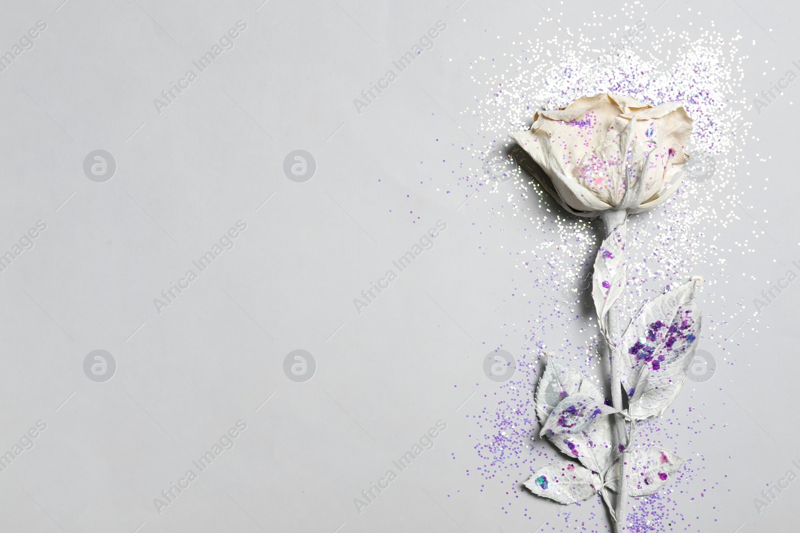 Photo of Beautiful dyed flower and glitter sprinkles on white background flat lay. Space for text