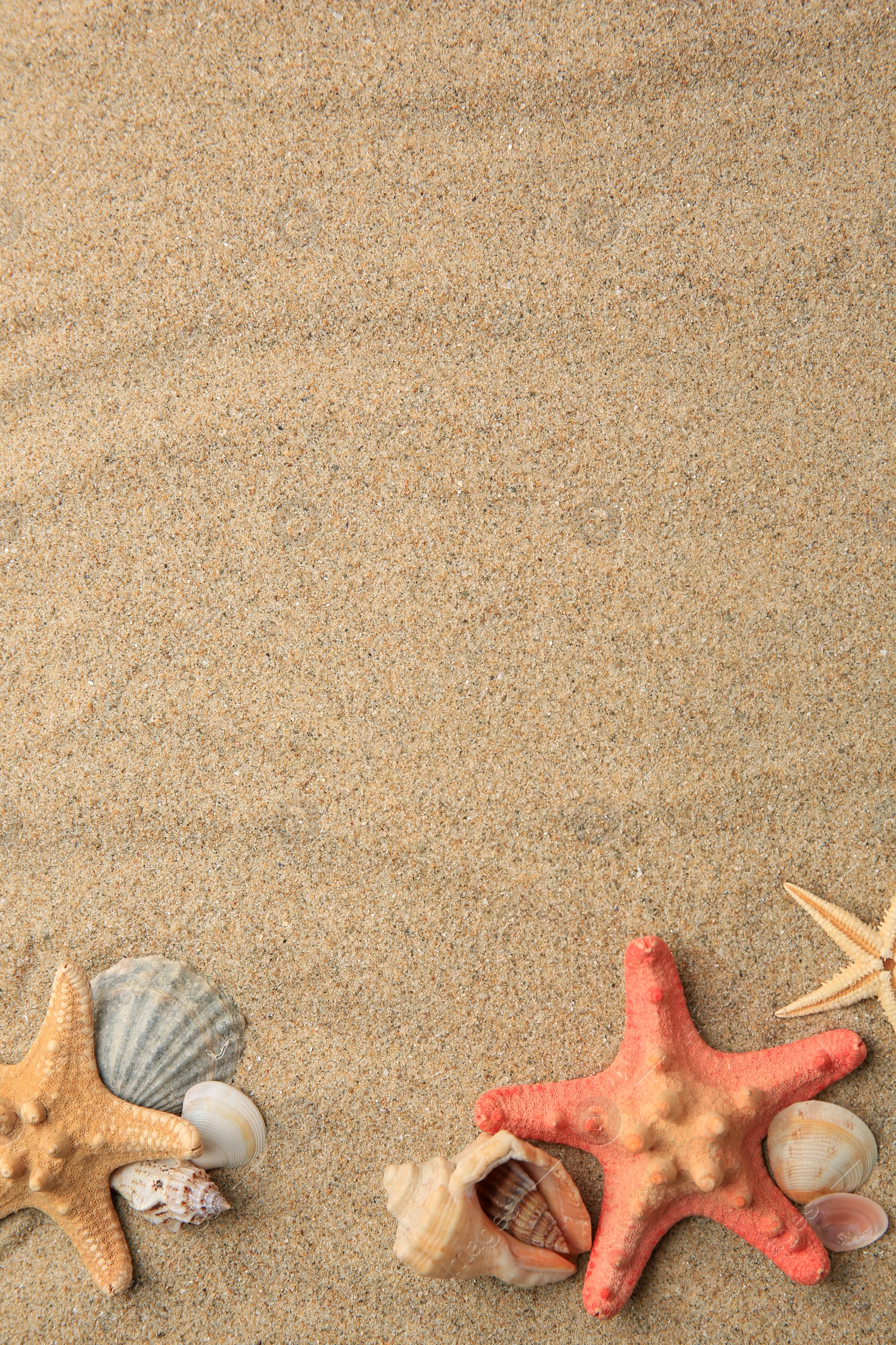 Photo of Beautiful sea stars and shells on sand, flat lay. Space for text