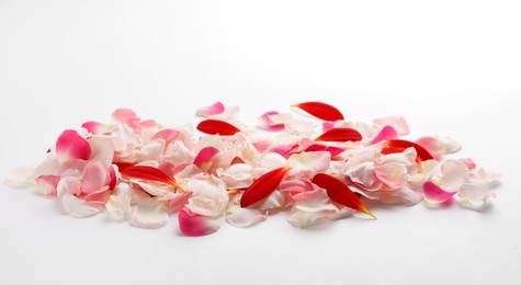 Photo of Pile of beautiful petals on white background