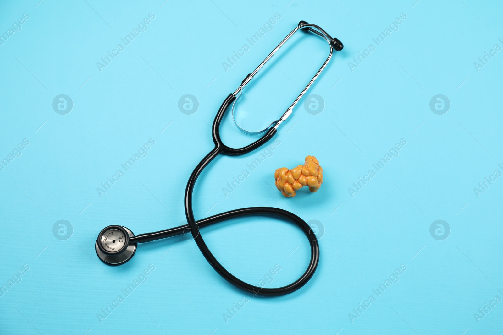 Photo of Endocrinology. Stethoscope and model of thyroid gland on light blue background, top view