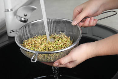 Photo of Woman washing sprouted green buckwheat over sink, closeup