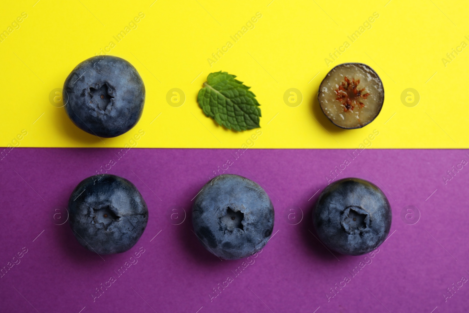 Photo of Flat lay composition with tasty blueberry on color background