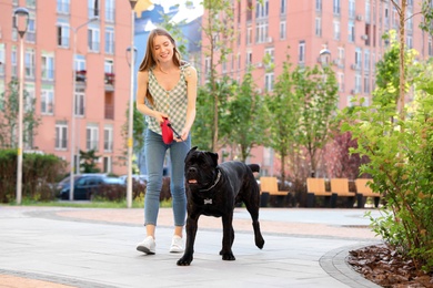 Photo of Young woman walking American Staffordshire Terrier dog outdoors