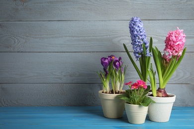 Photo of Different flowers in ceramic pots on light blue wooden table. Space for text