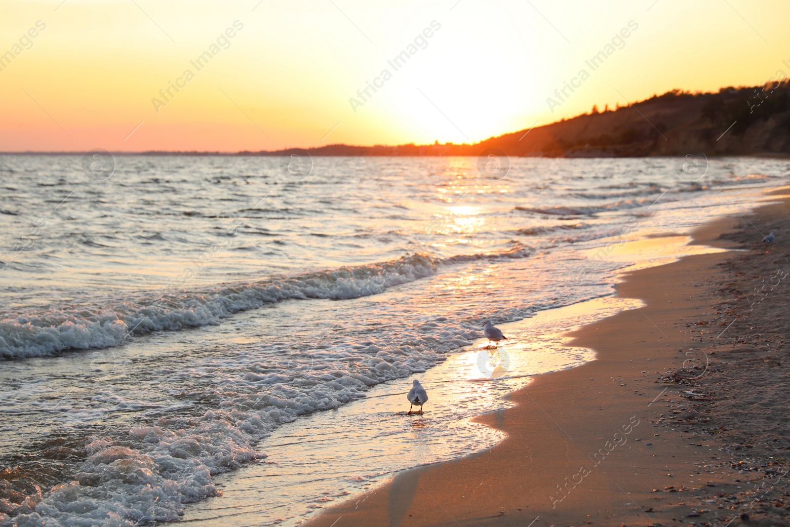 Photo of Beautiful view of sea coast at sunset