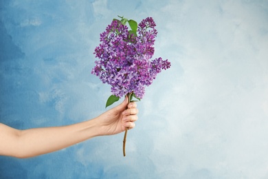 Young woman holding beautiful blossoming lilac on color background. Spring flowers