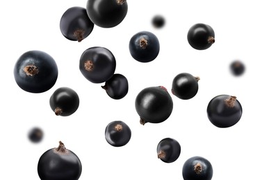 Image of Fresh black currants falling on white background