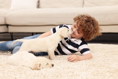 Little boy with cute puppies on beige carpet at home