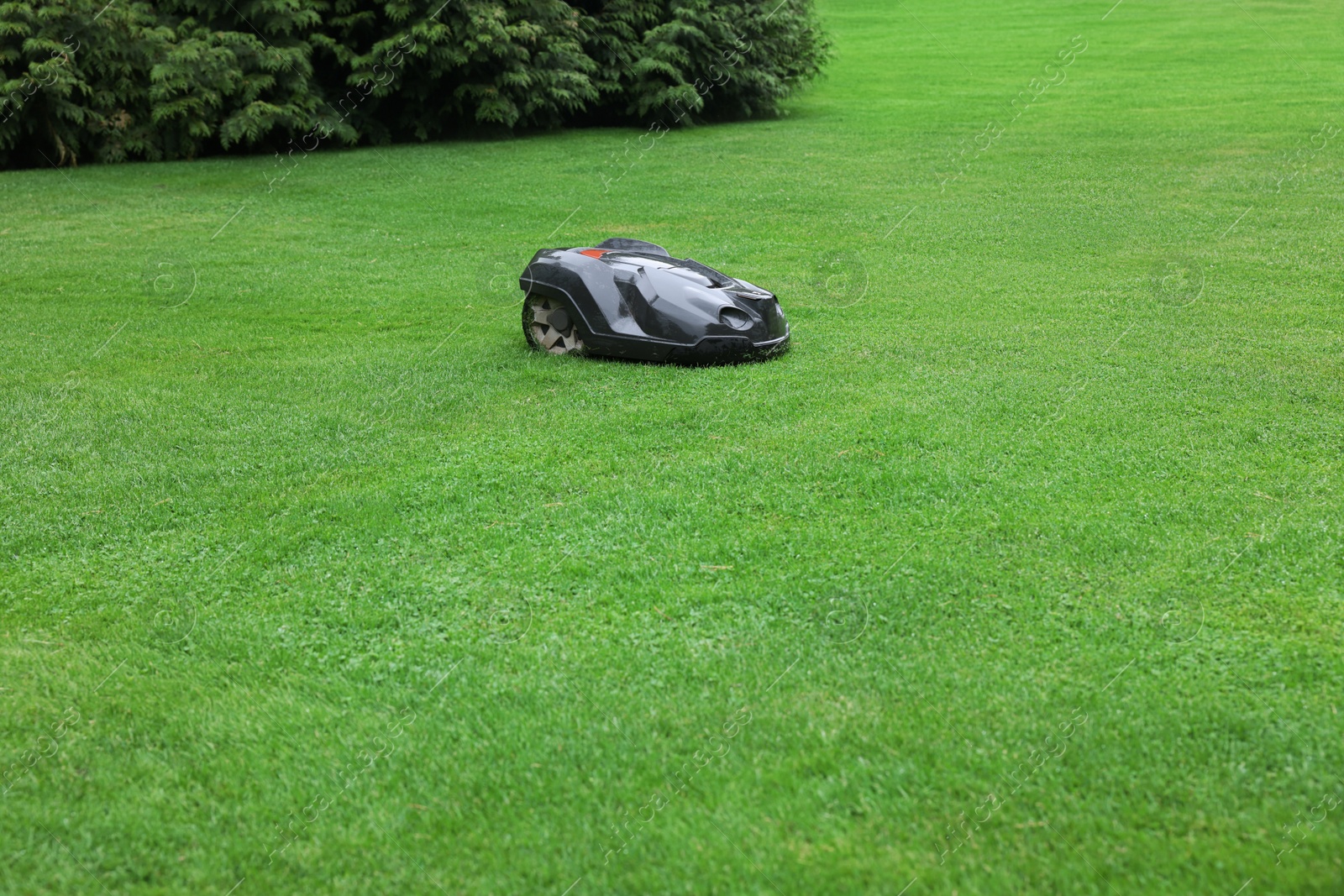 Photo of Modern lawn mower on green grass outdoors. Space for text