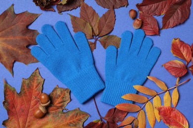 Photo of Stylish woolen gloves and dry leaves on blue background, flat lay