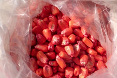Photo of Many corn seeds in plastic bag, top view